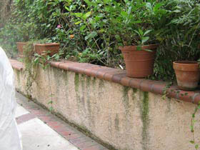 fence Pressure Washing