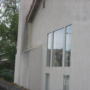 House Pressure Washing