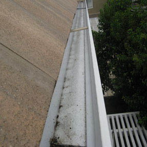 Rain Gutter Cleaning